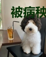 被病秧子王爷缠上后