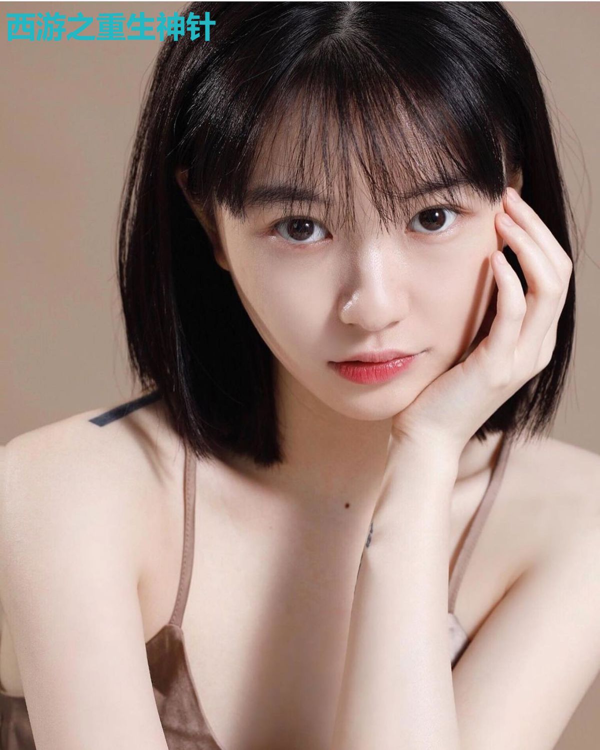 西游之重生神针