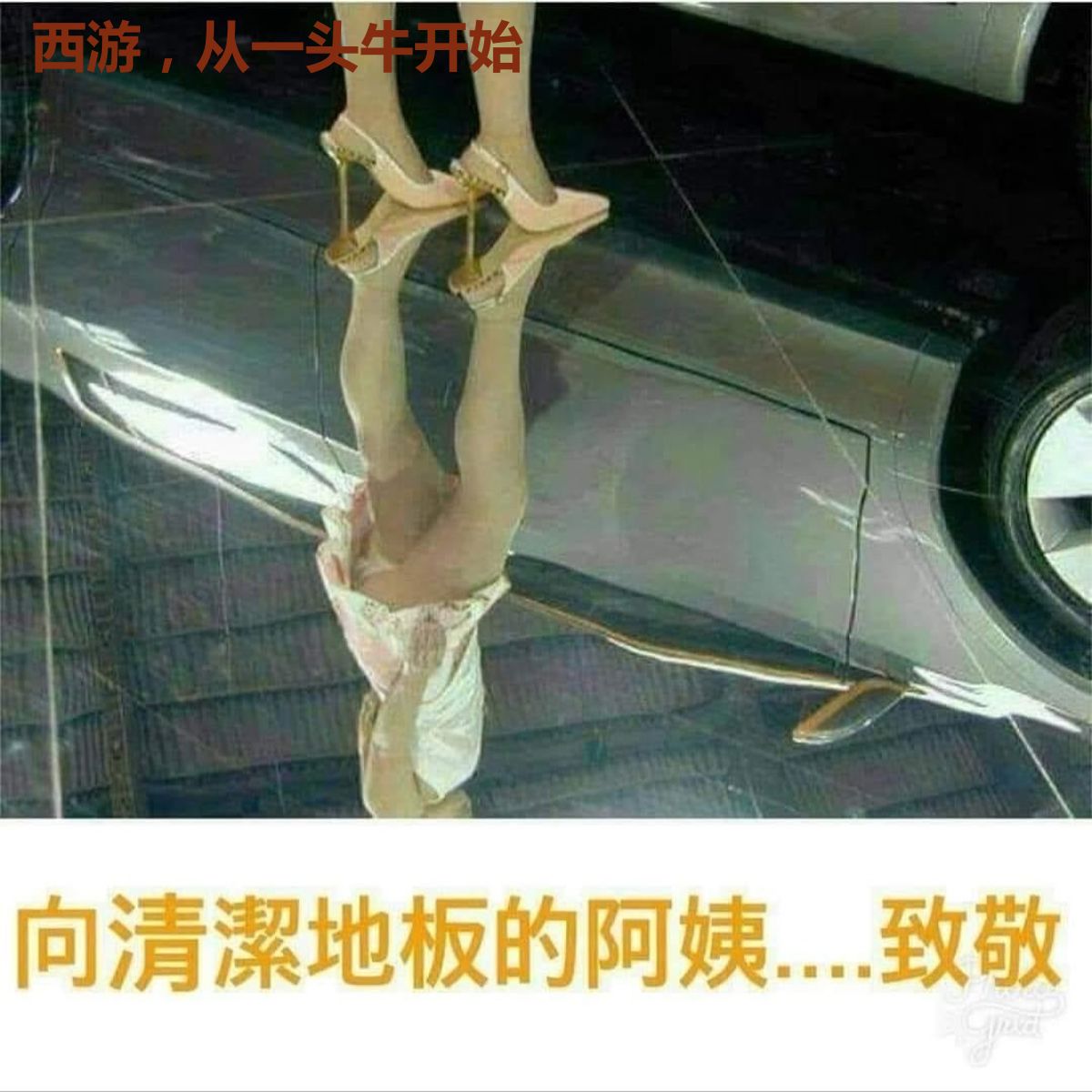 西游,从一头牛开始