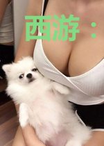 西游：贫僧达摩，佛道至尊