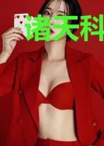 诸天科技之路