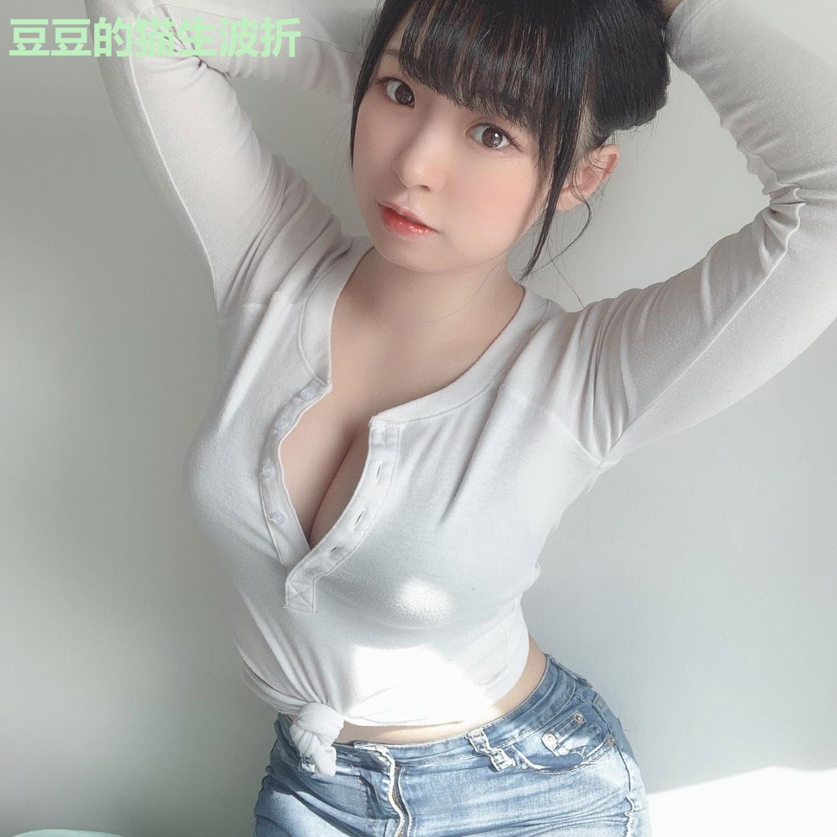 豆豆的猫生波折