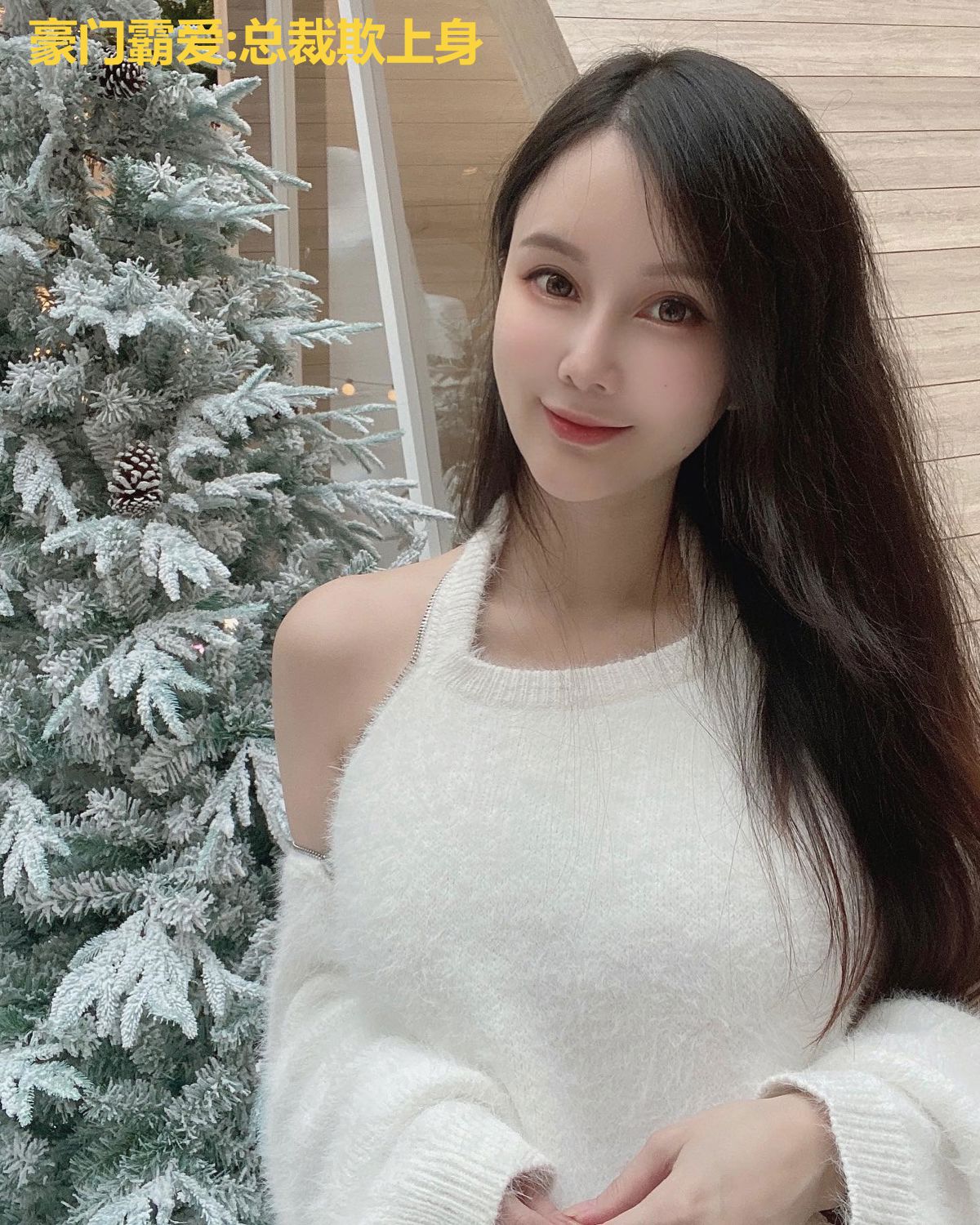 豪门霸爱:总裁欺上身