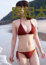 贵妃太娇弱得宠着