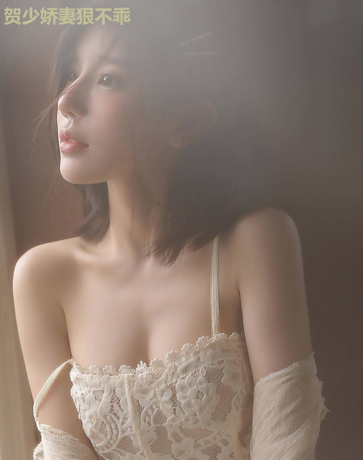贺少娇妻狠不乖