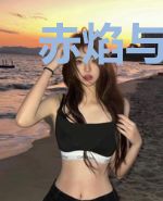 赤焰与银鱼