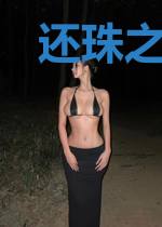 还珠之永琪是皇帝