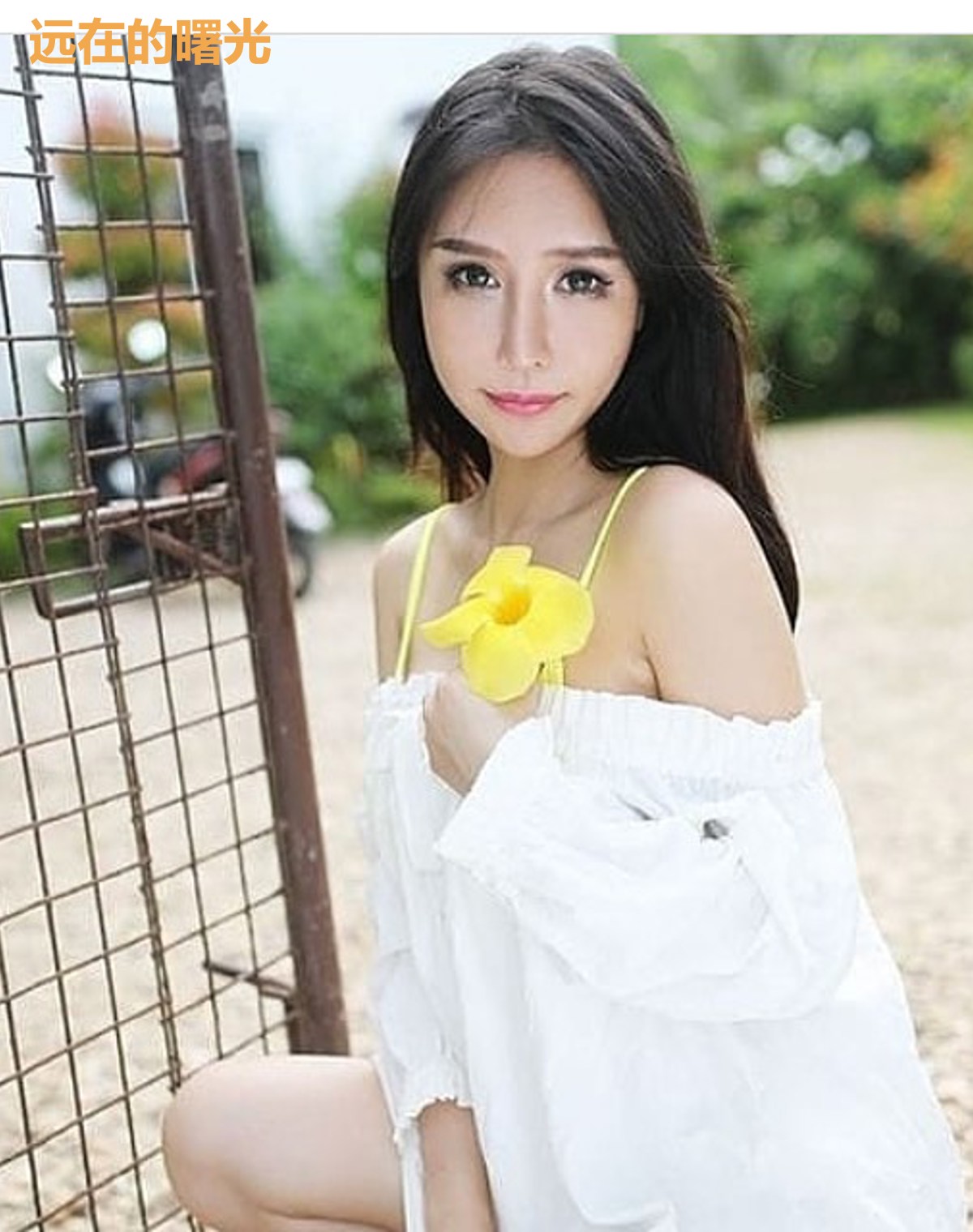 远在的曙光