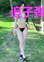 追子弹的人