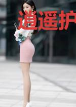 逍遥护花使者王宁