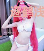 逐鹤浅踏樱