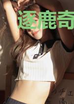 逐鹿奇侠传