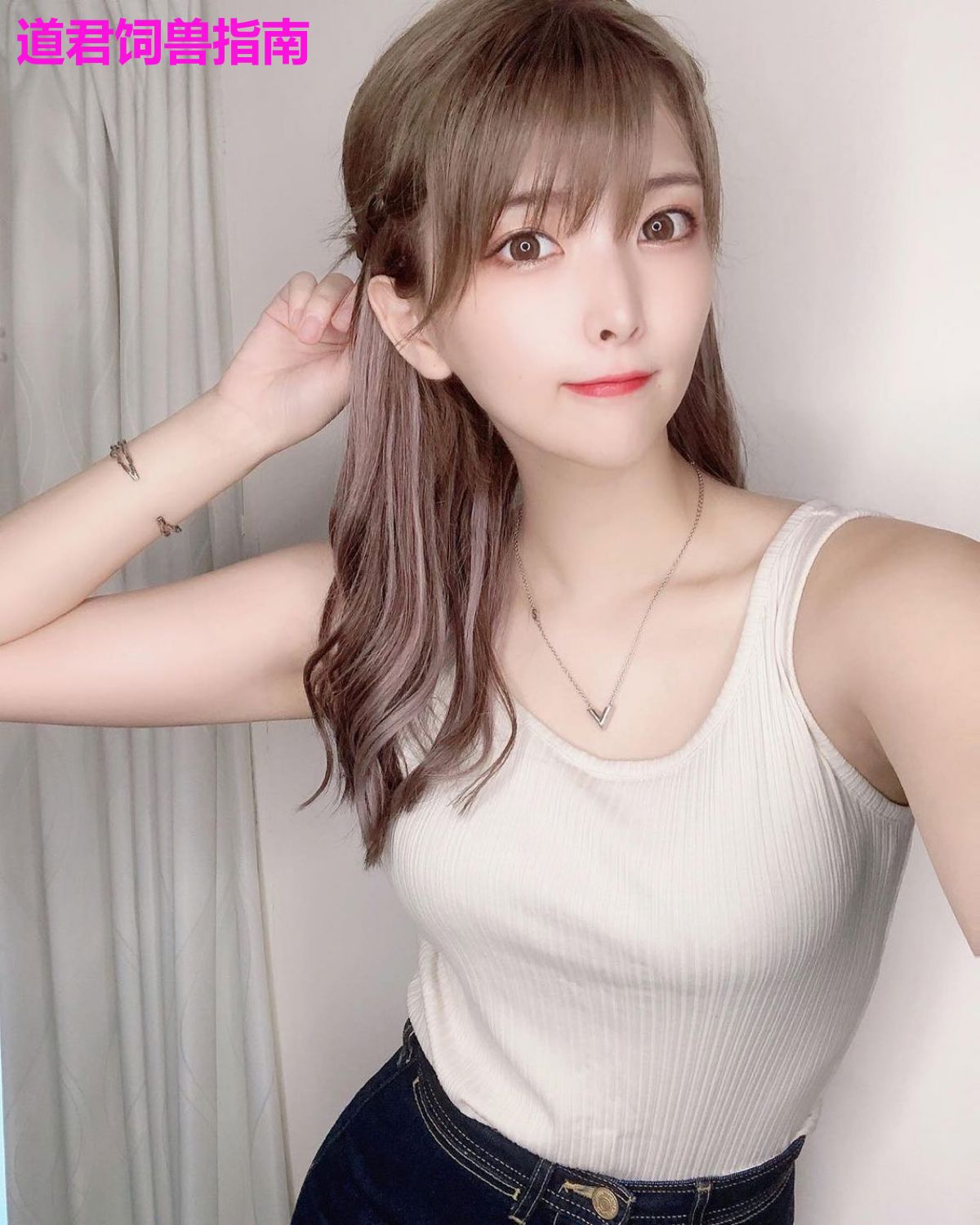 道君饲兽指南