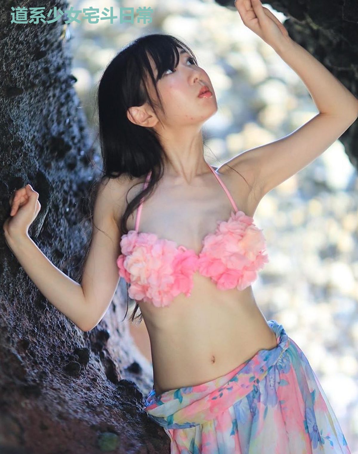 道系少女宅斗日常