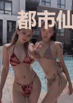 都市仙武劫尊风凌宇