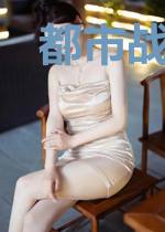 都市战神龙婿陆锋