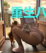 重生八零锦绣芳华