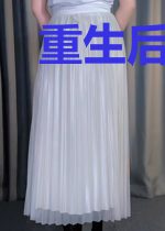 重生后的将军