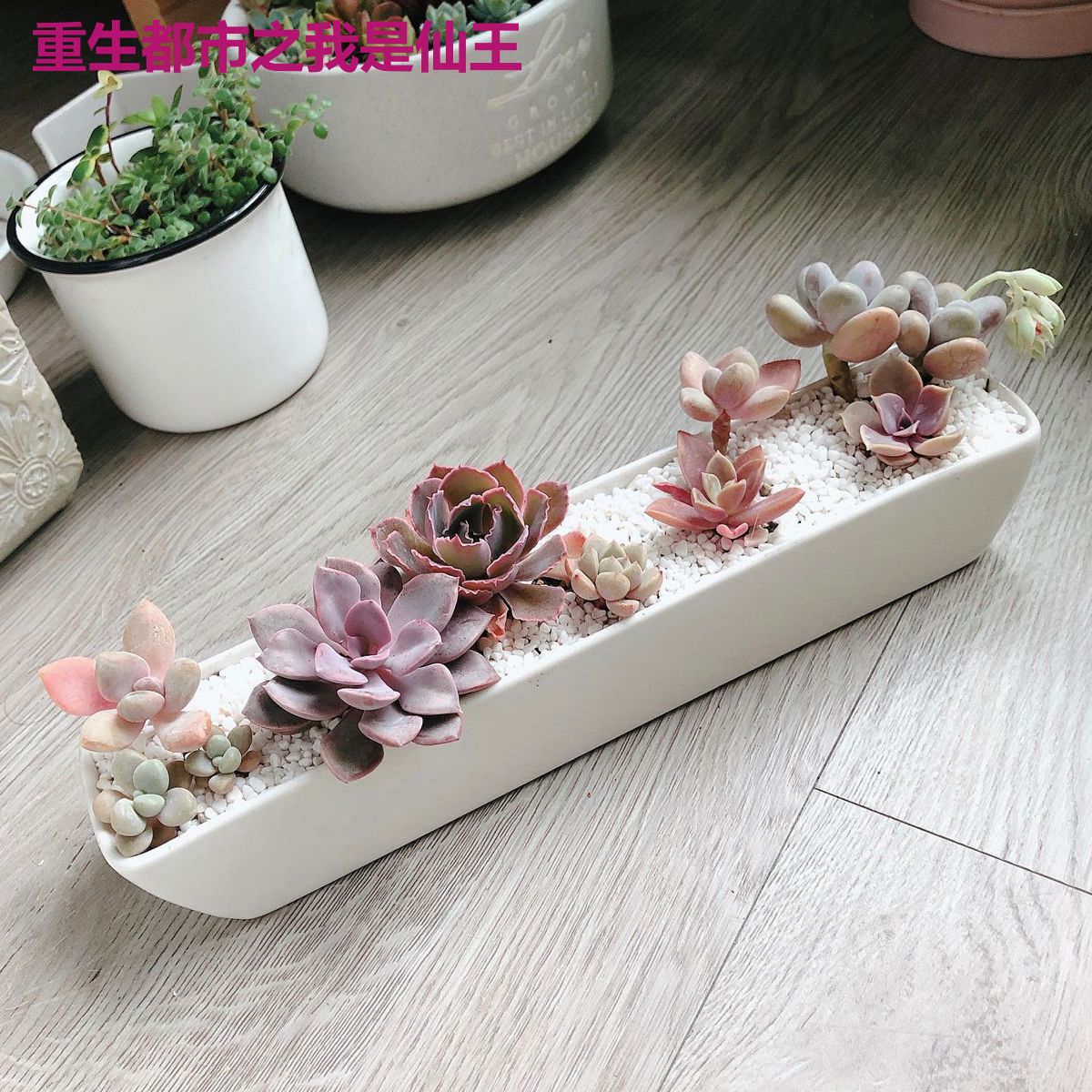 重生都市之我是仙王