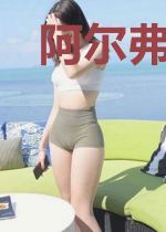 阿尔弗雷德战纪