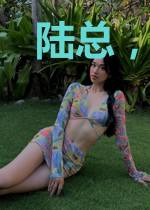 陆总,你老婆又在闹离婚