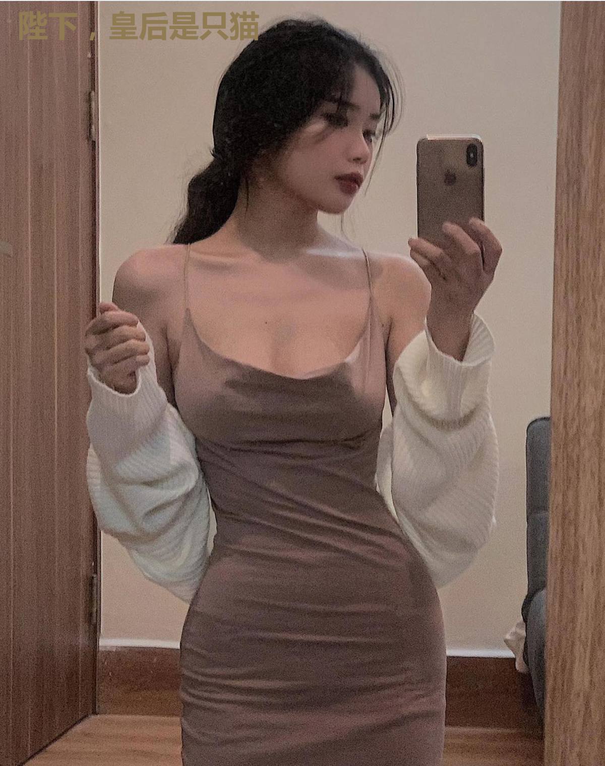 陛下,皇后是只猫