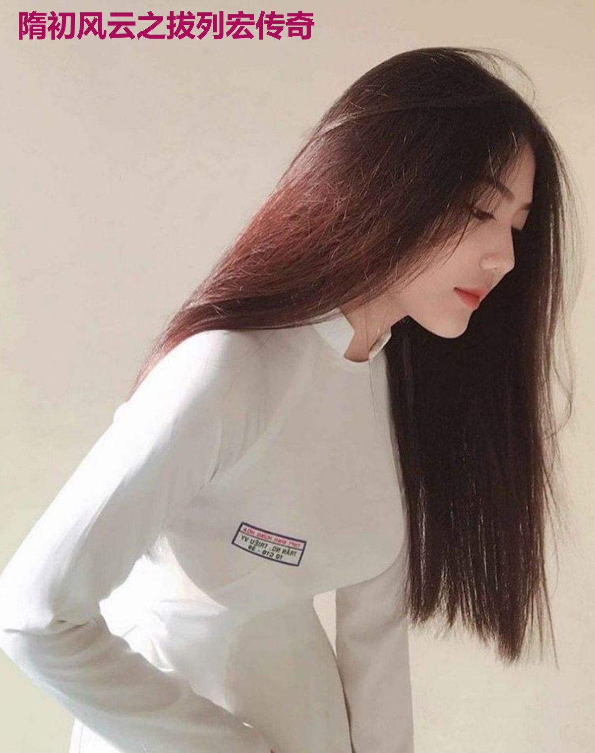 隋初风云之拔列宏传奇