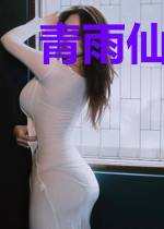 青雨仙凡传