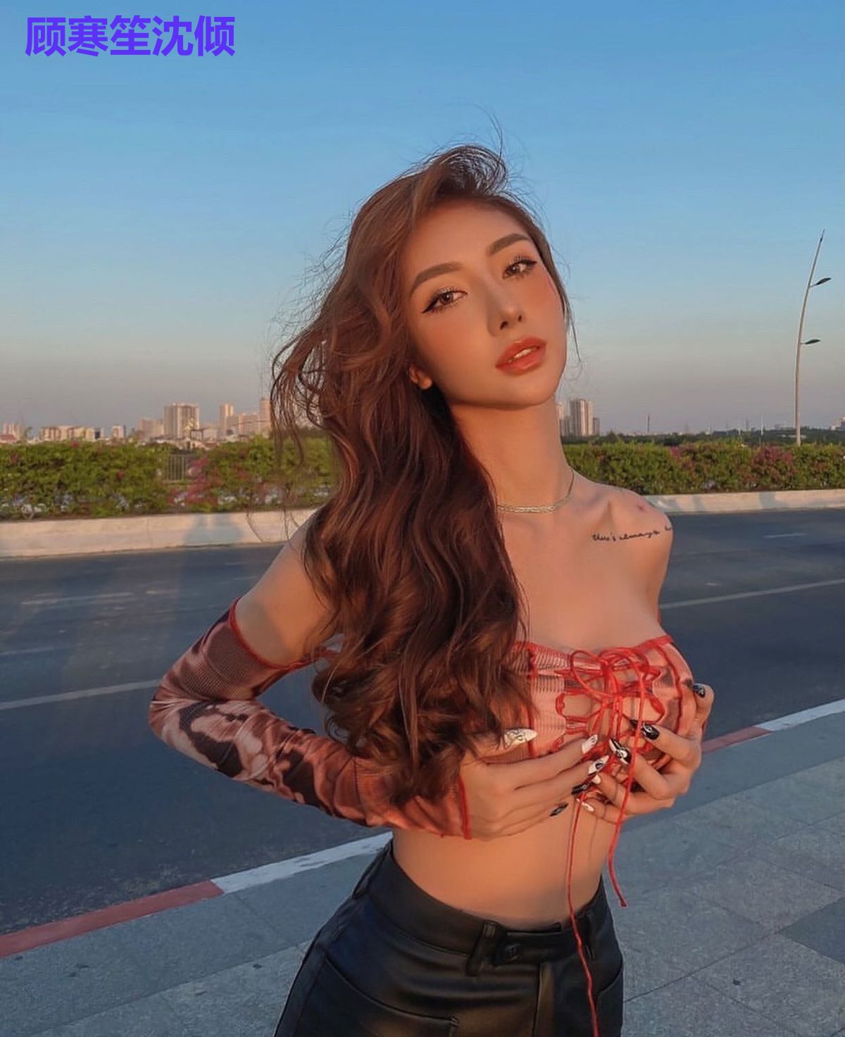 顾寒笙沈倾