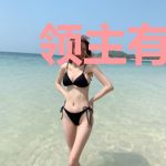 领主有系统