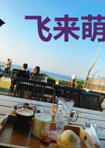 飞来萌宝：神医娘亲种田忙