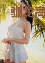 驯龙高手之神弃大陆