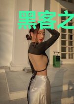 黑客之天下由我
