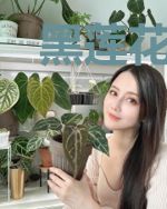 黑莲花千金她不好惹