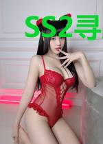 SS2寻岸者